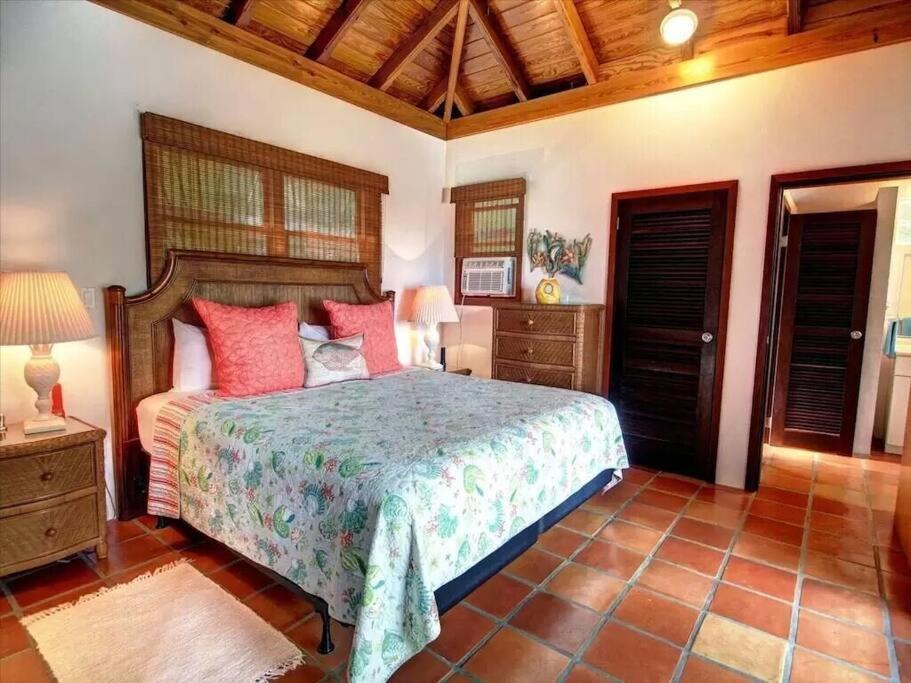 Cielo Vista Villa 3 Bdrm Sleeps 6 Heavenly View Cruz Bay Exteriör bild