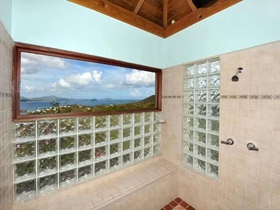 Cielo Vista Villa 3 Bdrm Sleeps 6 Heavenly View Cruz Bay Exteriör bild
