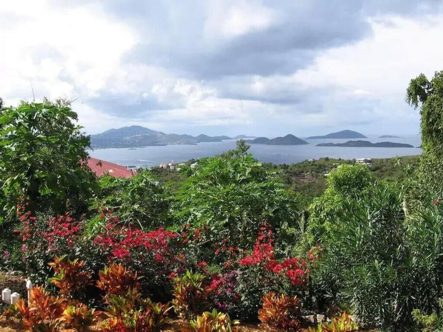 Cielo Vista Villa 3 Bdrm Sleeps 6 Heavenly View Cruz Bay Exteriör bild